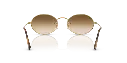 0RB3547__001_51__P21__shad__bk.webp