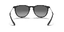0RB4171__622_T3__STD__shad__bk.webp