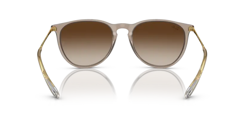 0RB4171__674413__P21__shad__bk.webp