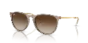 0RB4171__674413__P21__shad__qt.webp
