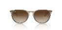 0RB4171__674413__P21__shad__fr.webp