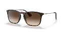 0RB4187L__856_13__STD__shad__qt.webp