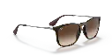0RB4187L__856_13__STD__shad__al2.webp