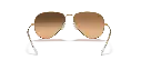 0RB3025__001_3E__STD__shad__bk.webp