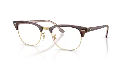 0RX5154__8292__P21__shad__al31.webp